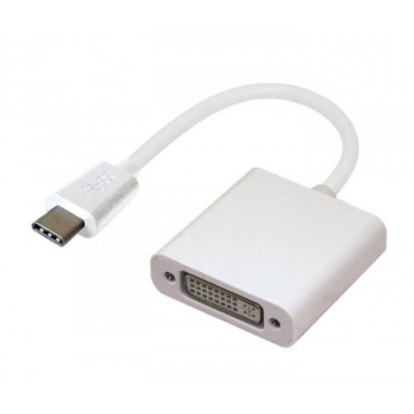 Adaptateur USB Type-C vers DVI F Adaptateur USB Type-C vers DVI F