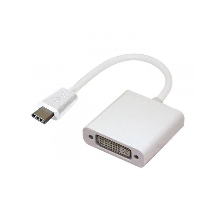 Adaptateur USB Type-C vers DVI F