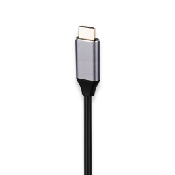Câble USB Type-C vers HDMI 2.0 - 2M
